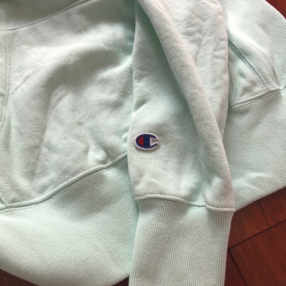 Champion Reverse Weave Small Script Hoodie Hemlock - Picture 5 of 11